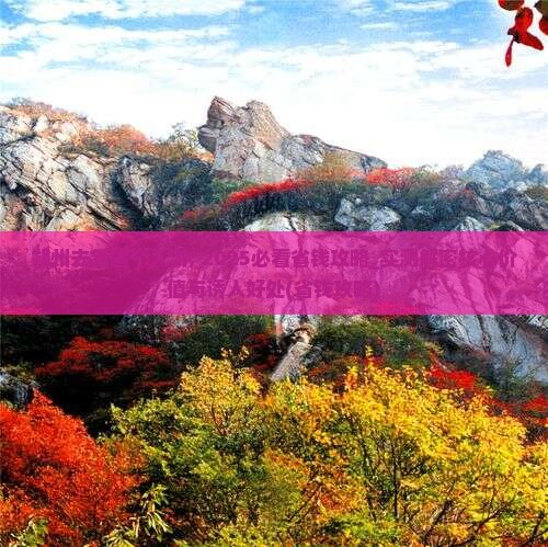 朔州去新疆个人游