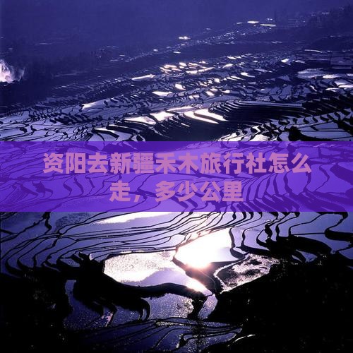 资阳去新疆禾木旅行社