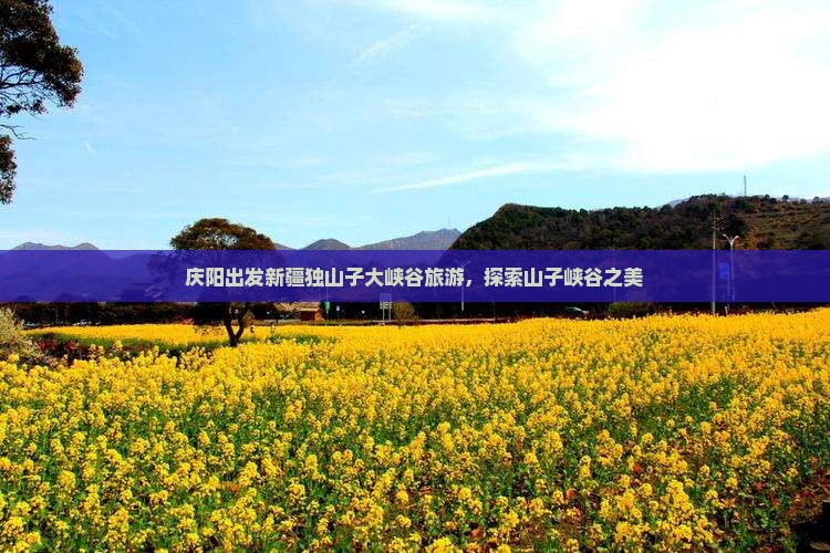 庆阳去新疆独山子大峡谷景点