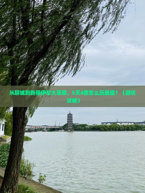 聊城到新疆伊犁大草原旅游