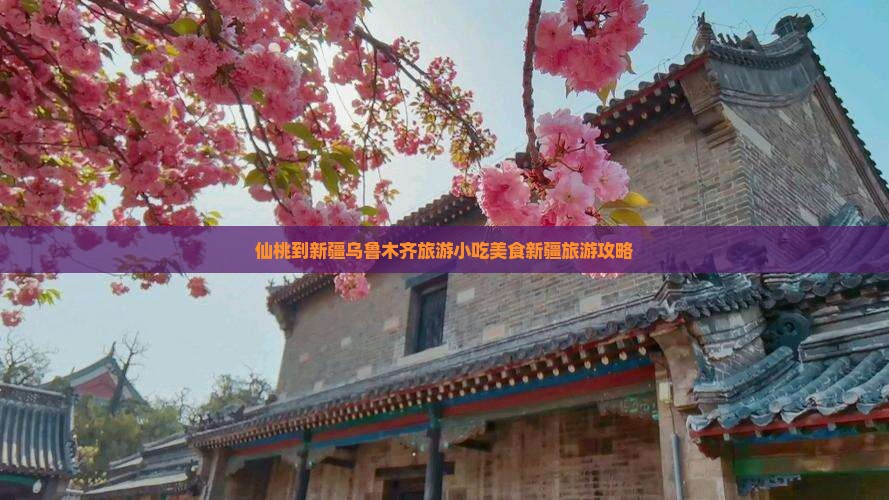 仙桃到新疆乌鲁木齐旅游小吃