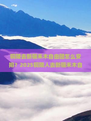铜陵去新疆禾木自由团