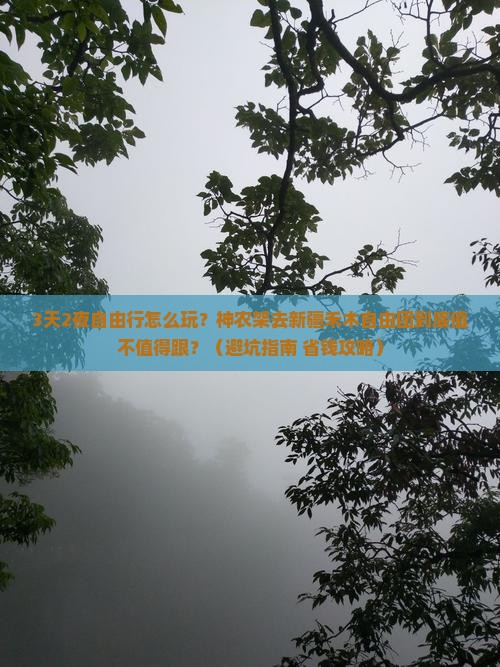 神农架去新疆禾木自由团