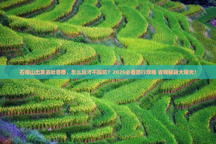 石嘴山去新疆吐鲁番旅行社