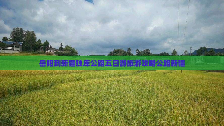 岳阳到新疆独库公路五日游