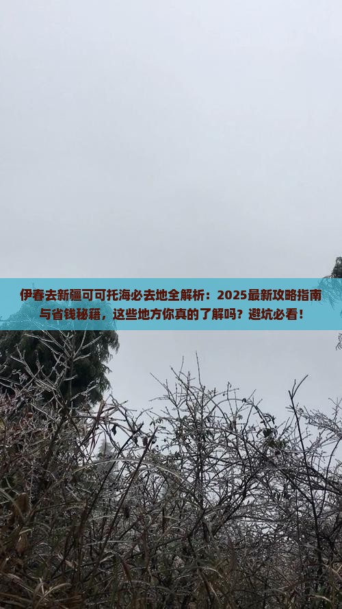 伊春去新疆可可托海必去地