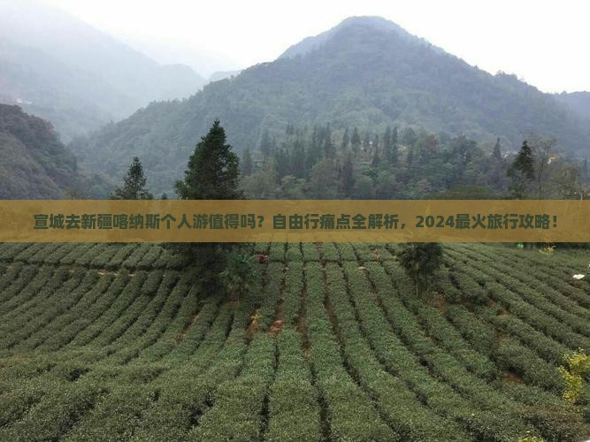 宣城去新疆喀纳斯个人游