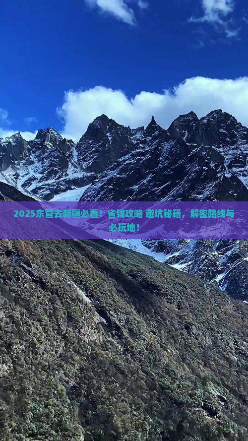 东营到新疆哪里玩