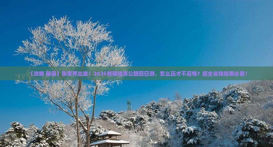 张家界到新疆独库公路四日游