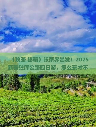 张家界到新疆独库公路四日游