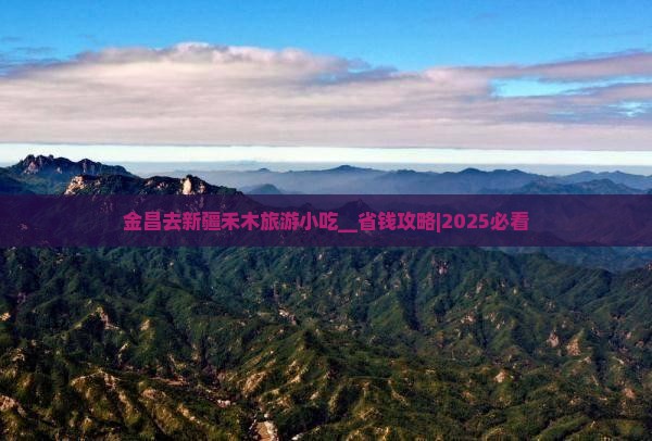 金昌去新疆禾木旅游小吃