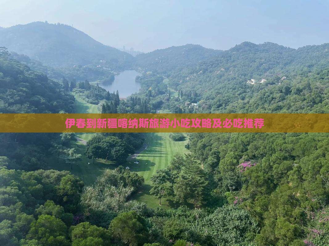 伊春到新疆喀纳斯旅游小吃