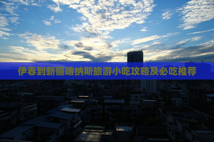 伊春到新疆喀纳斯旅游小吃
