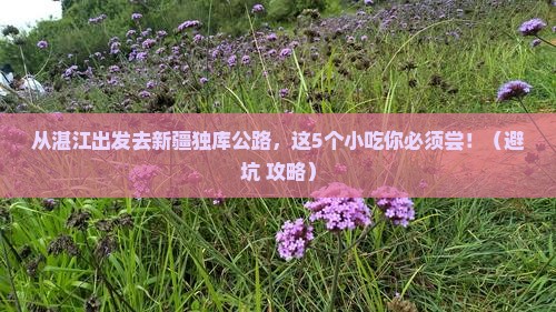 湛江去新疆独库公路旅游小吃