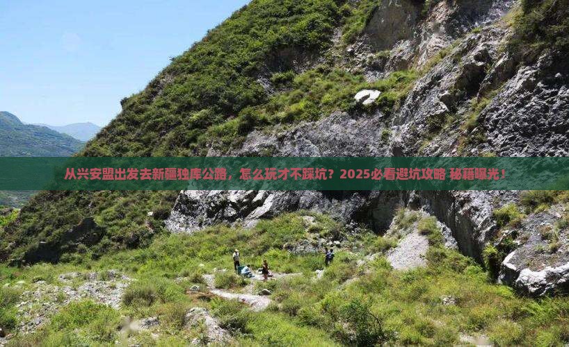 兴安盟去新疆独库公路哪里玩