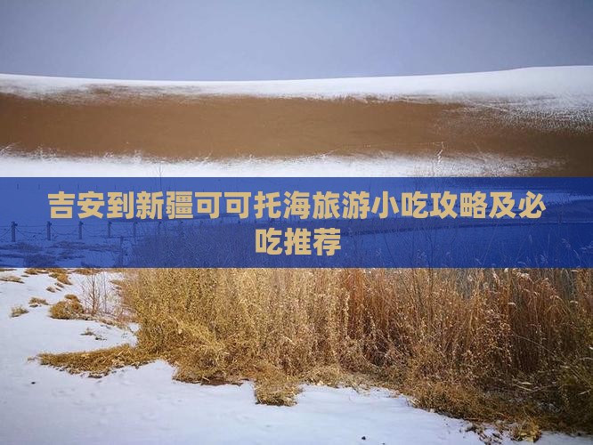 吉安到新疆可可托海旅游小吃