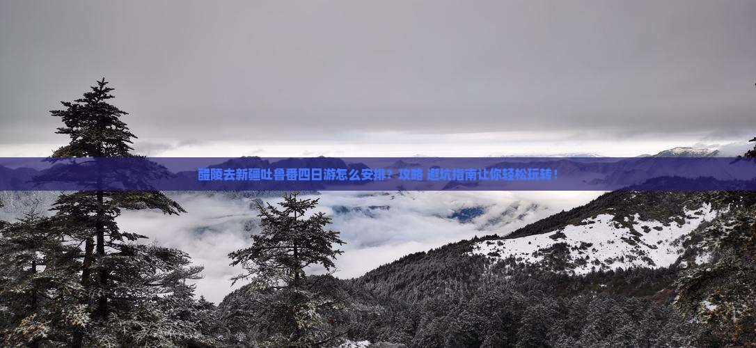 醴陵去新疆吐鲁番四日游