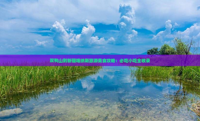 双鸭山到新疆喀纳斯旅游小吃