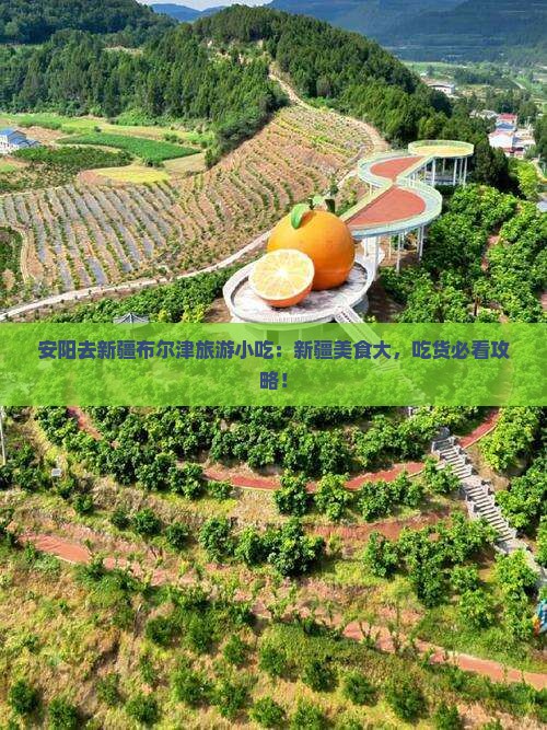 安阳去新疆布尔津旅游小吃