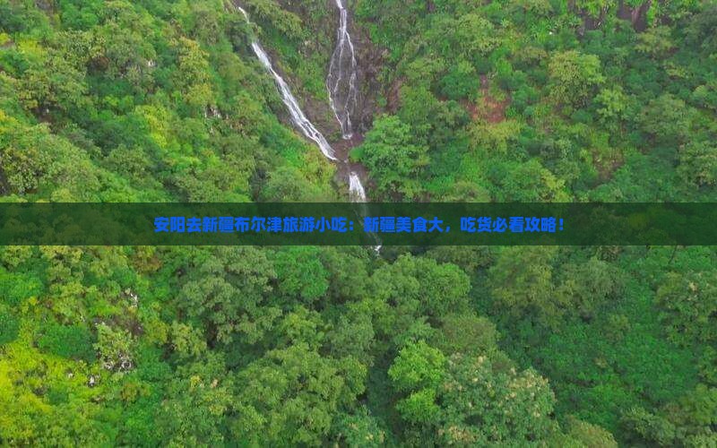 安阳去新疆布尔津旅游小吃