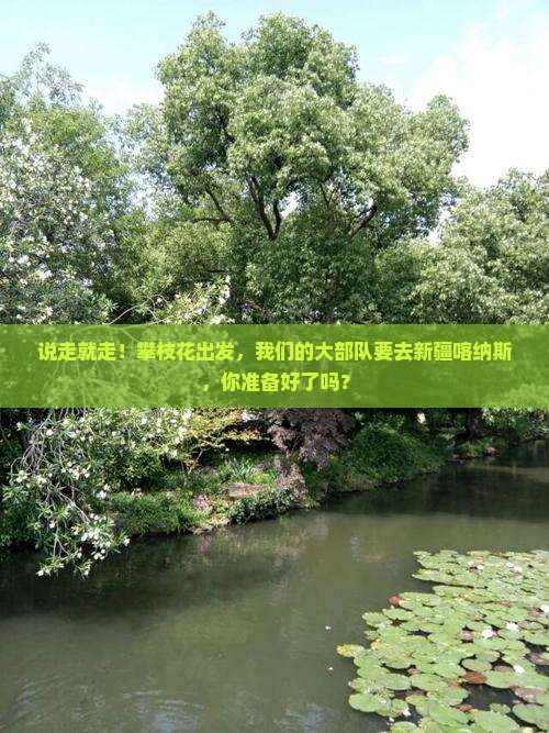 攀枝花到新疆喀纳斯大型旅游团