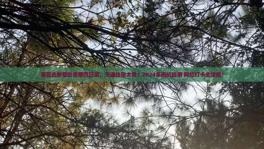 南昌去新疆吐鲁番四日游