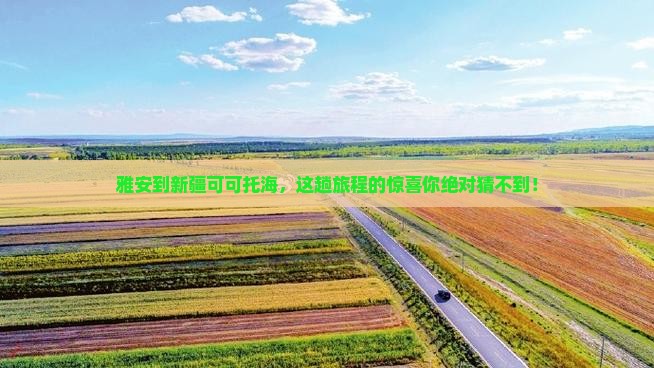 雅安到新疆可可托海必去地