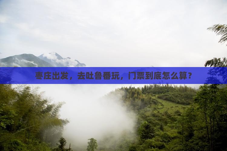 枣庄去新疆吐鲁番门票