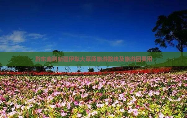 黔东南到新疆伊犁大草原旅游