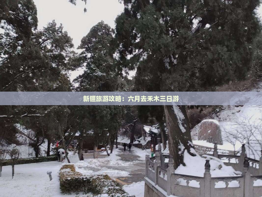 六月去新疆禾木三日游