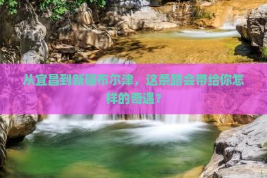 宜昌去新疆布尔津旅行社