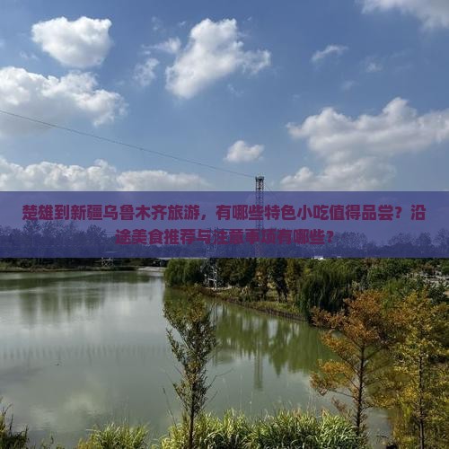 楚雄到新疆乌鲁木齐旅游小吃