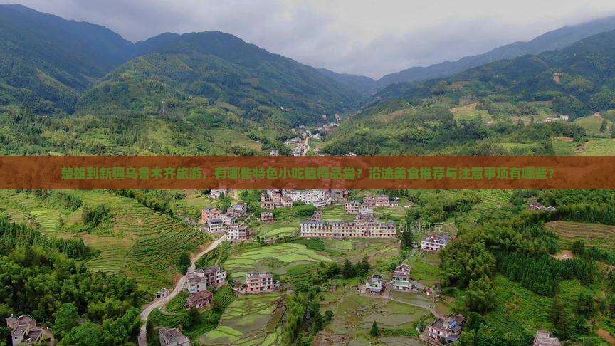 楚雄到新疆乌鲁木齐旅游小吃