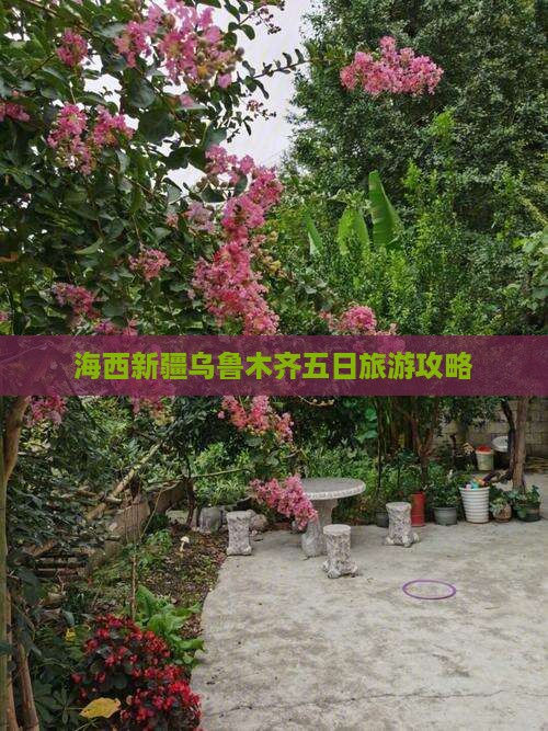 海西去新疆乌鲁木齐五日游