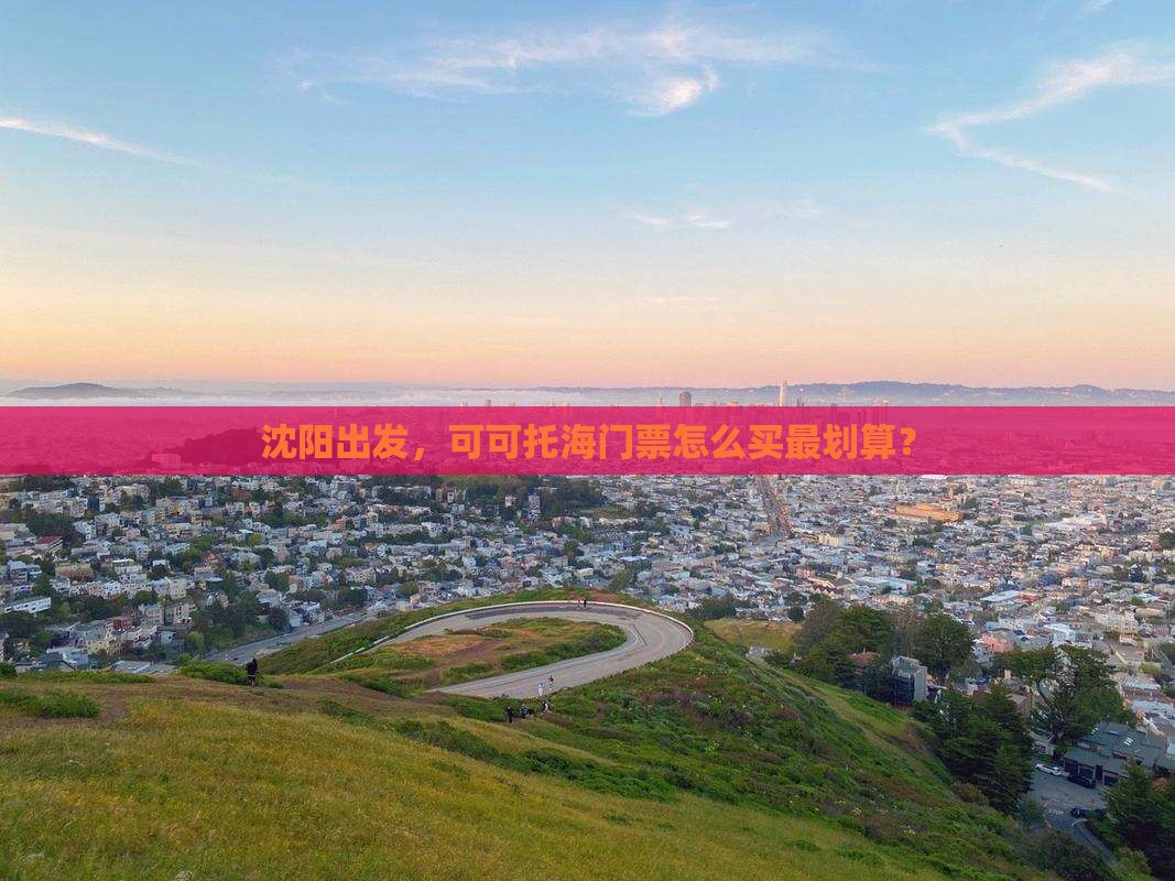 沈阳去新疆可可托海门票 沈阳去新疆可可托海门票