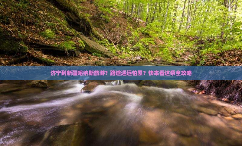 济宁到新疆喀纳斯旅游