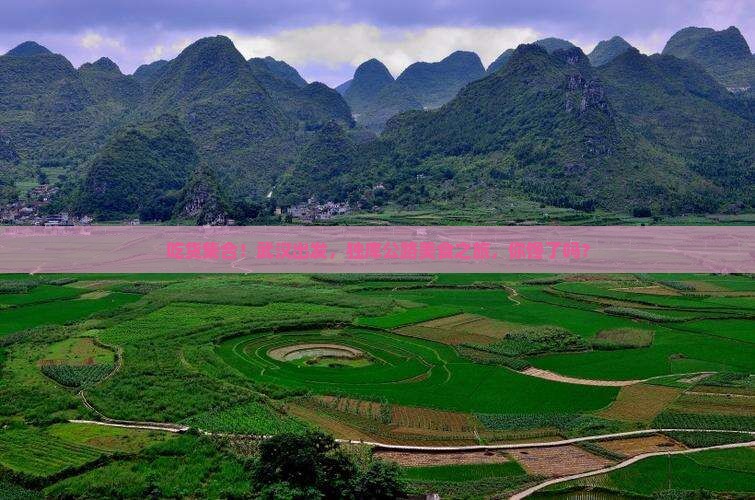 武汉去新疆独库公路旅游小吃