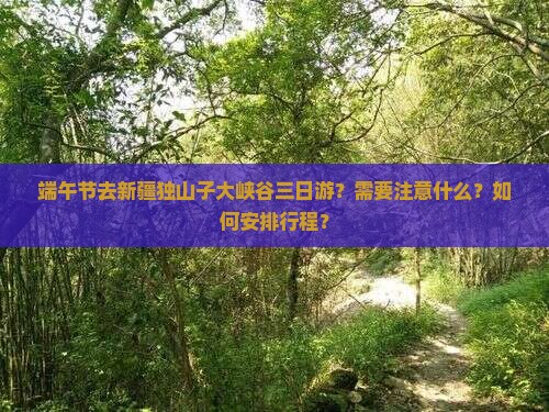 端午节去新疆独山子大峡谷三日游