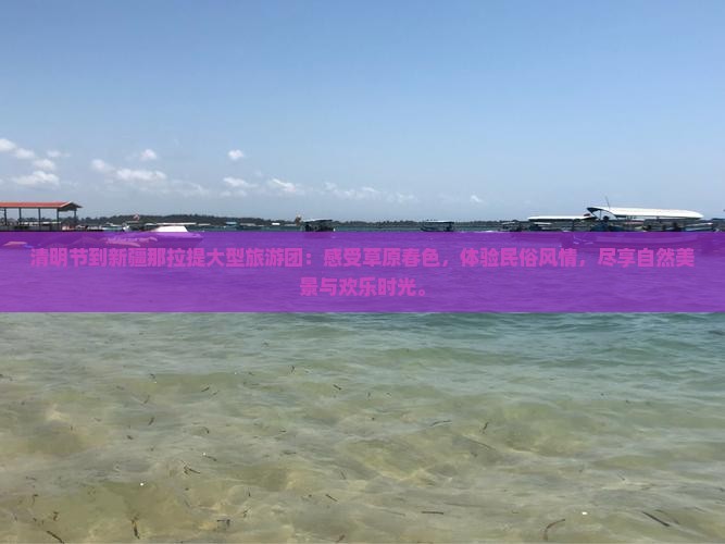 清明节到新疆那拉提大型旅游团