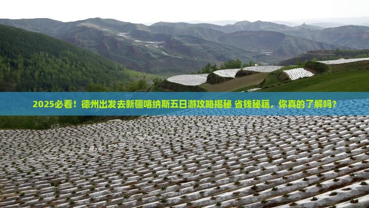 德州去新疆喀纳斯五日游