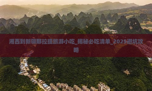 湘西到新疆那拉提旅游小吃