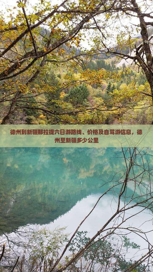 德州到新疆那拉提六日游