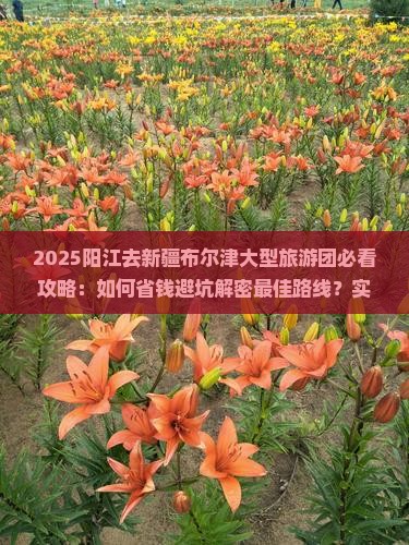 阳江去新疆布尔津大型旅游团