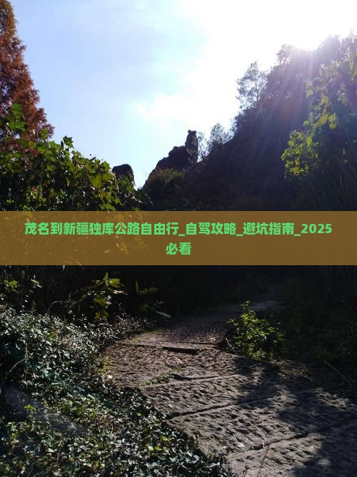 茂名到新疆独库公路自由行