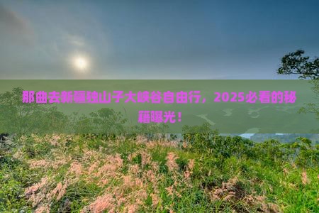 那曲去新疆独山子大峡谷自由行