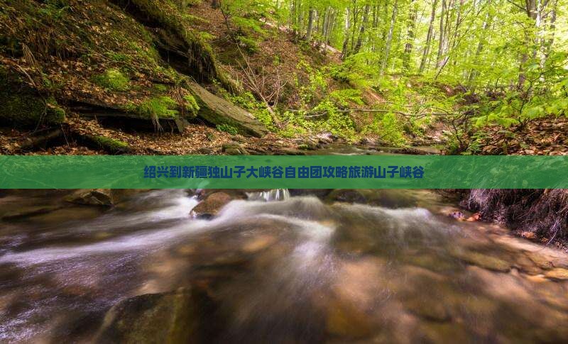 绍兴到新疆独山子大峡谷自由团