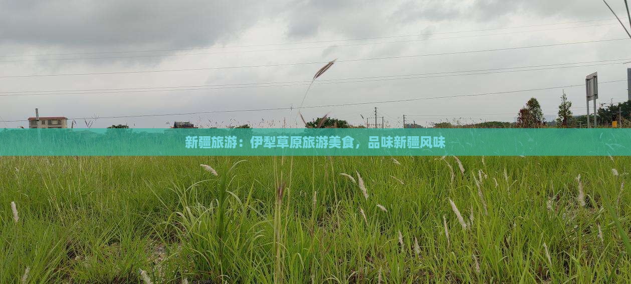 盐城到新疆伊犁大草原旅游小吃