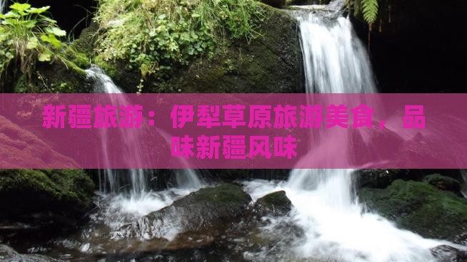 盐城到新疆伊犁大草原旅游小吃