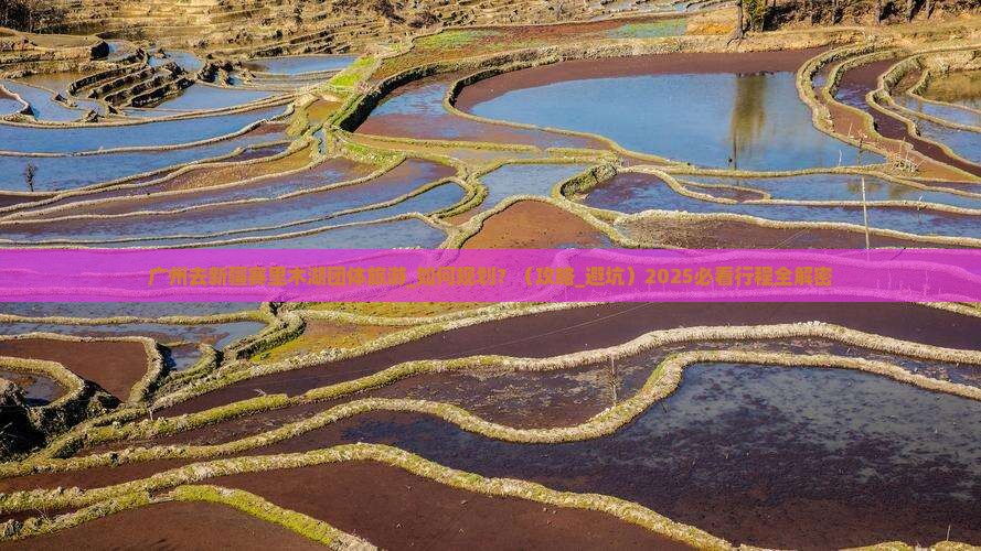广州去新疆赛里木湖团体旅游