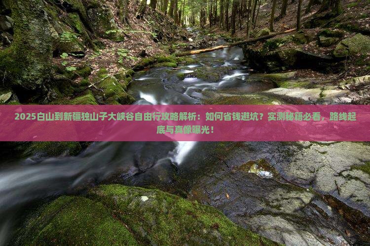 白山到新疆独山子大峡谷自由行